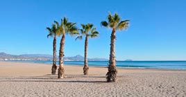 alquiler de coches en alicante